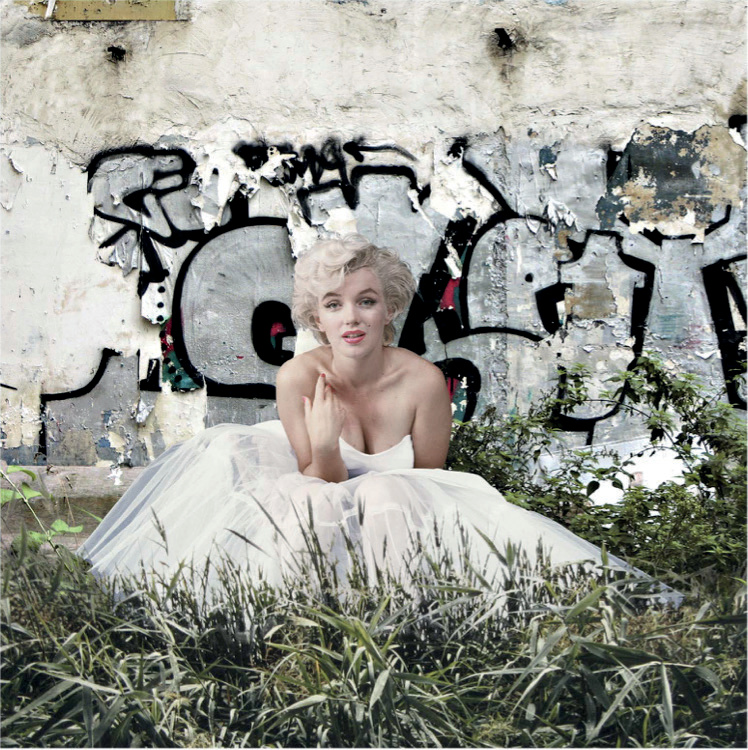 Marilyn Monroe assise dans l'herbe devant un mur de graffitis
