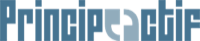 Principe Actif - Partenaire Swing Digital